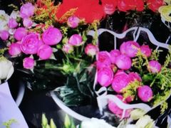 -三圣花乡旅游区