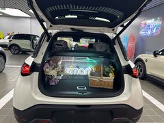 -上海浦东smart汽车全功能店(金桥店)