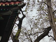 -北京艺术博物馆(万寿寺)