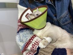 -佳雯宠物医院(金华南路分院)