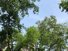 -山东师范大学(千佛山校区)