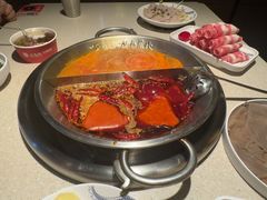 -小龙坎火锅(全球旗舰店)