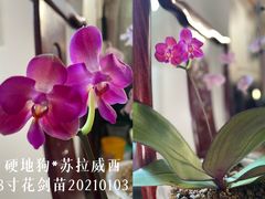 -淇乐多品味馆(江南大道店)