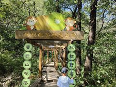 -大岭沟猕猴桃谷风景区
