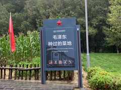 -延安杨家岭革命旧址