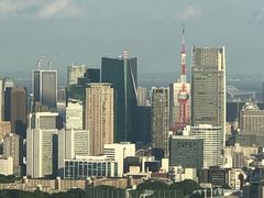 -东京都厅舍