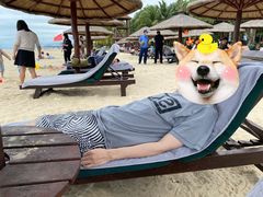 -三亚湾海居铂尔曼度假酒店