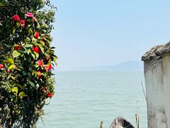 -东钱湖旅游度假区