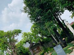 门面-Chom Cafe and Restaurant