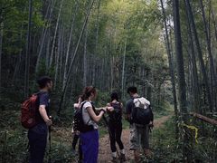 -午潮山国家森林公园