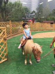 -萌宠亲子动物乐园(槐房万达店)