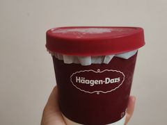 -哈根达斯(武汉天地店)