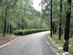 -北京鹫峰国家森林公园