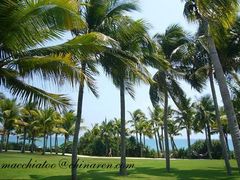 -三亚亚龙湾红树林度假酒店