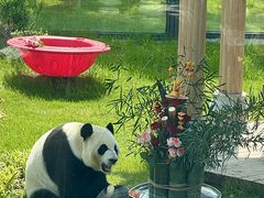 -无锡动物园·太湖欢乐园