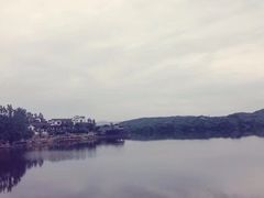 -大塘金香草谷