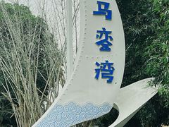 -马銮湾景区