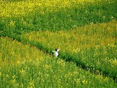 -中国天府农业博览园