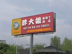 -胖大姐黄辣丁鱼庄(新津店)