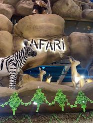 -卡通尼·Safari非洲探索乐园·生日会(金桥国际商业广场店)