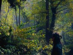 -素山寺森林公园