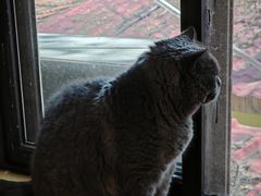 -Rabbit Cafe私房西餐甜点咖啡(栖霞路店)