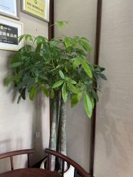 -禾颜社·精致美容