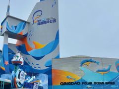 -海合安青岛极地海洋公园
