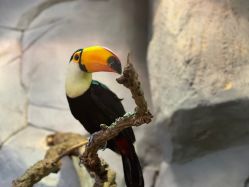 -Zoolung Zoolung动物主题公园(海信广场店)