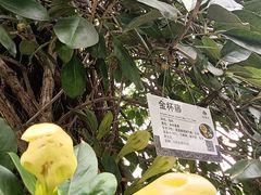 -桃花涧
