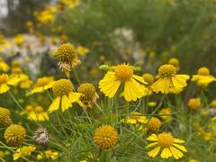 -上海植物园-4号门售票处