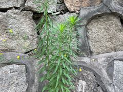 -静之湖度假区
