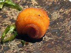 -新荣记(建国门外大街店)