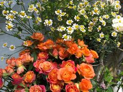 -植物学家的女儿(北马道巷店)