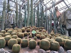 -南山植物园