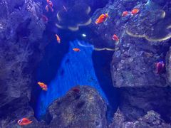 -福州罗源湾海洋世界旅游区