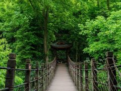 -凤栖山