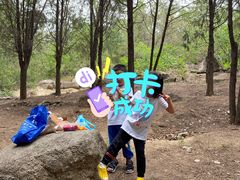 -白水寺森林公园