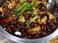 沸腾鱼-蜀膳坊(洪公祠小区店)