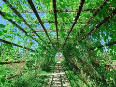 -北纬44度·金珠花海休闲农业旅游景区