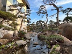 -罗红摄影艺术馆