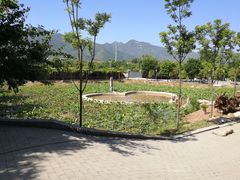 -长安上水缘度假庄园