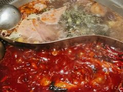 -廖掌柜·重庆鲜货火锅(上海首店)