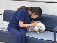 -派美特宠物医院·核磁CT·骨科肿瘤·疑难转诊(沈农禾丰店)
