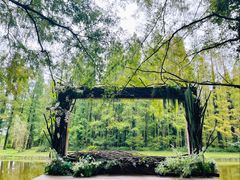 -黄海国家森林公园