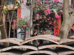 -三溪村