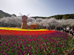 -苏州上方山国家森林公园