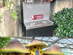 -南宫五洲植物乐园