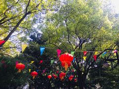-瀛洲公园