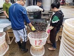 -海峡水产品交易中心(海鲜交易区)